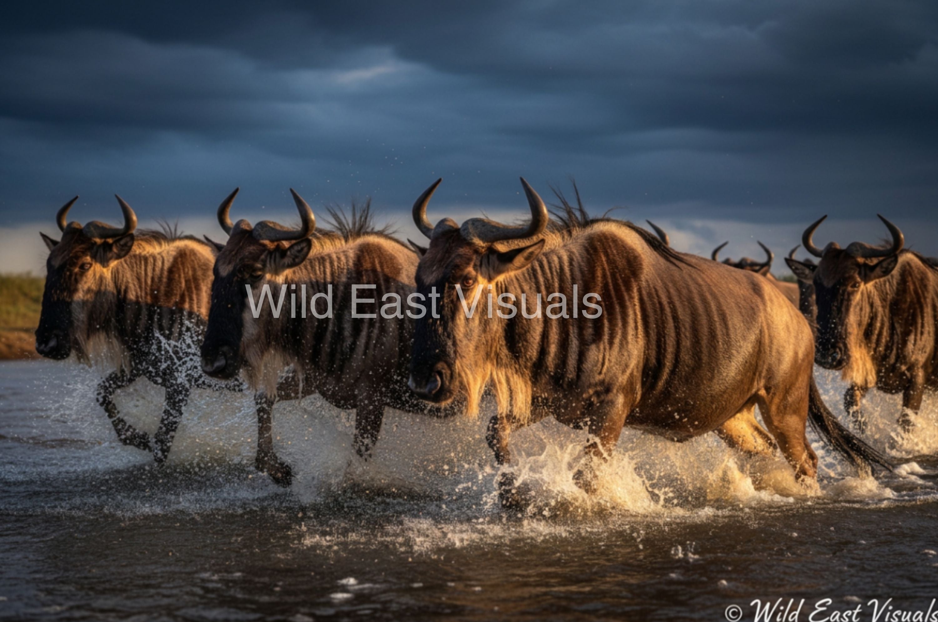 The Crossing —  Fine art print of wildebeest crossing the Maasai Mara during the Great Migration, Kenya — Wild East Visual