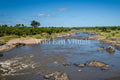 Mara River flowing quietly between rocky banks and lush green savannah, Maasai Mara, Kenya — Before the Crossing fine art giclée print — Wild East Visuals