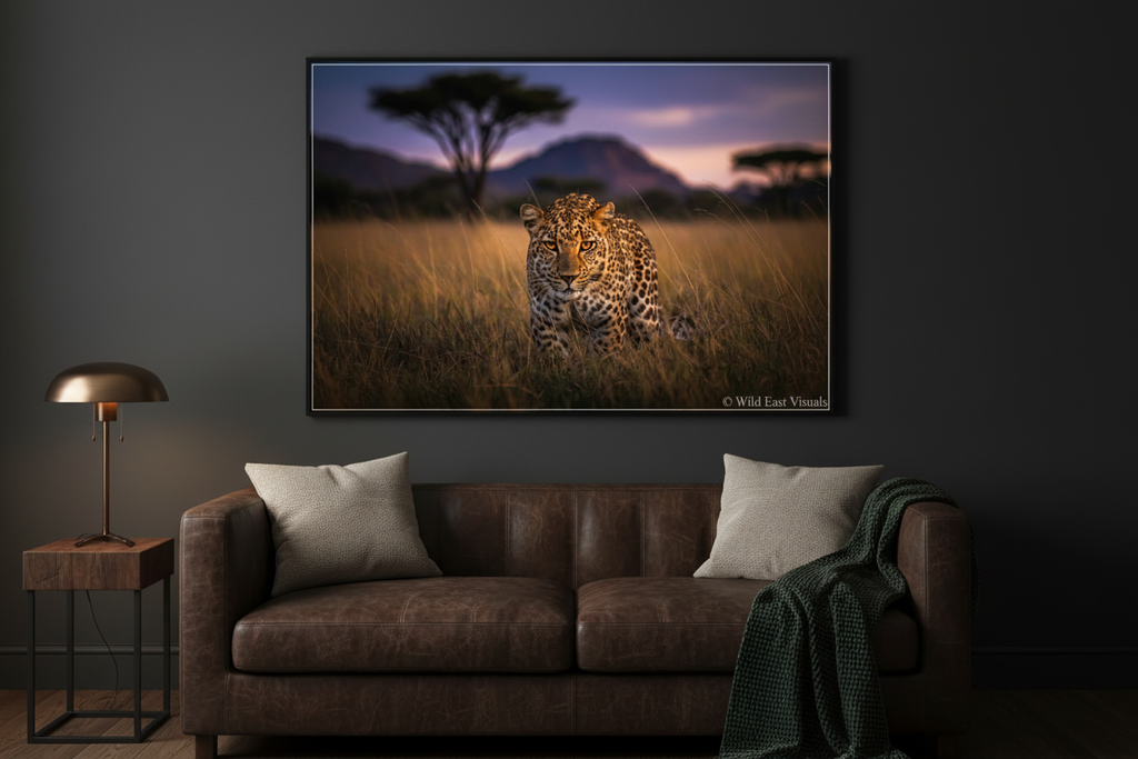 Dusk Stalker — Leopard fine art print displayed in a dark moody luxury living room, charcoal wall, no frame — Wild East Visuals